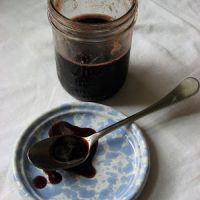 Elderberry & Rose Hip Syrup