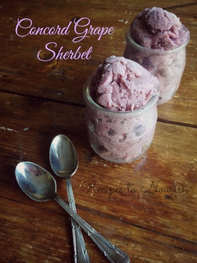 Concord Grape Sherbet | Recipes to Nourish
