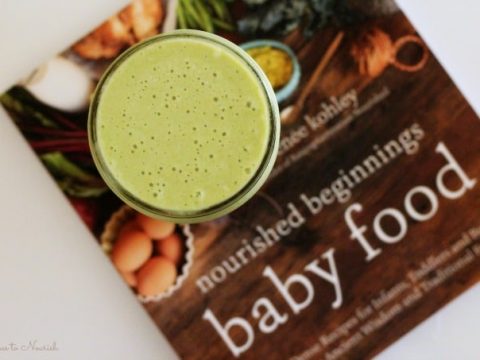 nourished beginnings baby food