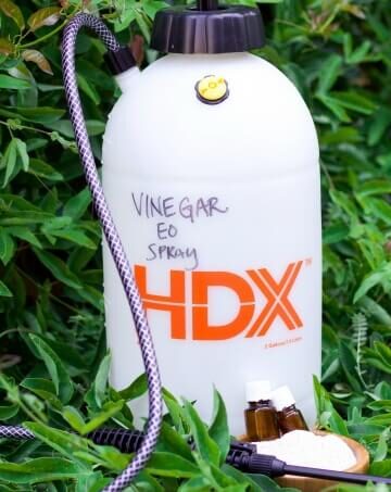 Bottle of homemade vinegar weed killer spray.