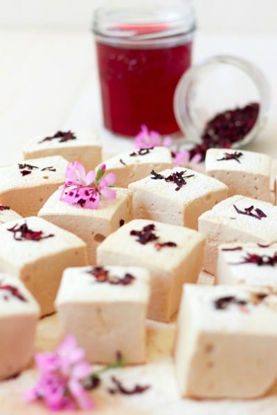 Hibiscus herbal tea and square cut homemade marshmallows with dried hibiscus blossoms.