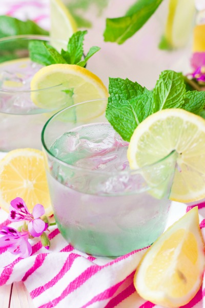 Iced mint lemonade in glasses with fresh mint and lemon slices.
