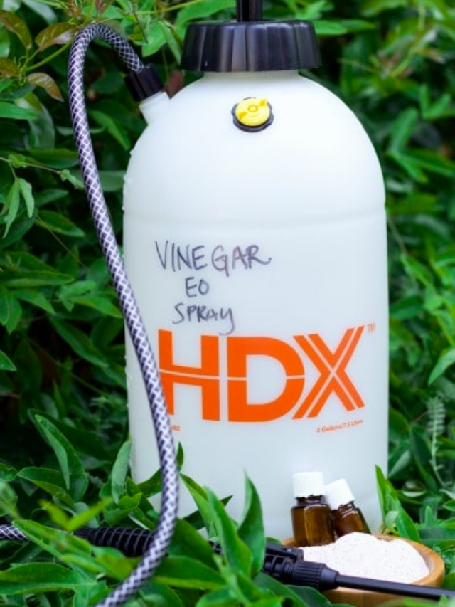 DIY Weed Killer