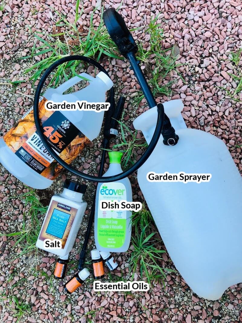 Photo of a garden sprayer, gallon of 45% vinegar, bottle of dish soap, container of salt and essential oil bottles sitting on top of green weeds in red rock gravel with text labels saying garden vinegar, garden sprayer, dish soap, salt and essential oils.