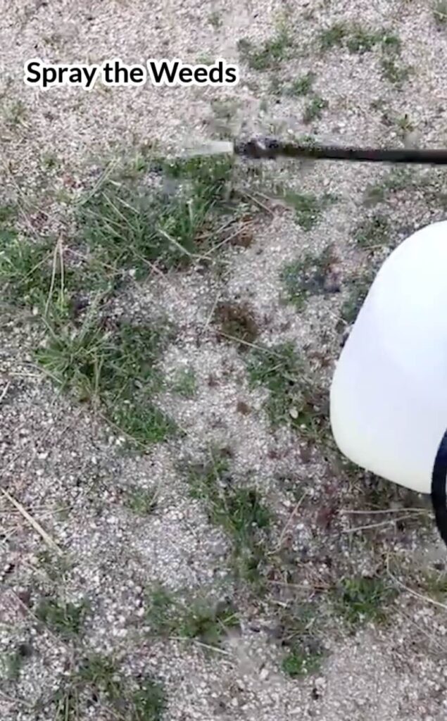 Photo of a garden sprayer spraying green weeds in decomposed granite and dirt with the text spray the weeds.