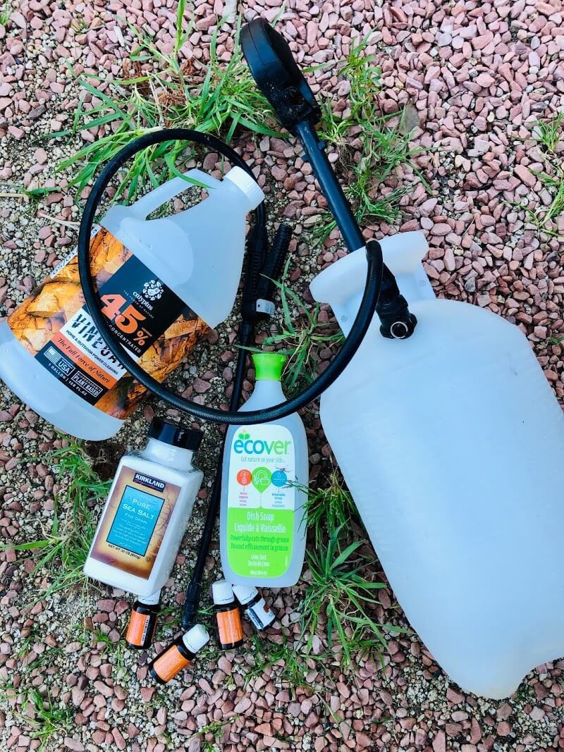 Photo of a garden sprayer, gallon of 45% vinegar, bottle of dish soap, container of salt and essential oil bottles sitting on top of green weeds in red rock gravel.