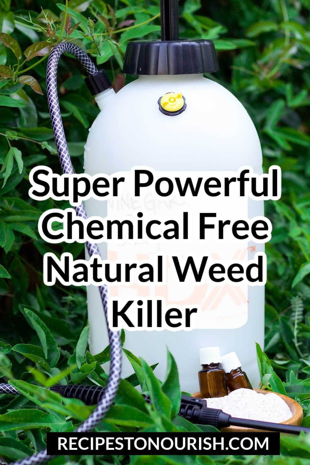 Photo of a garden sprayer sitting in green leaves in the garden next to a small bowl of salt and essential oil bottles, with the text Super Powerful Chemical Free Natural Weed Killer.