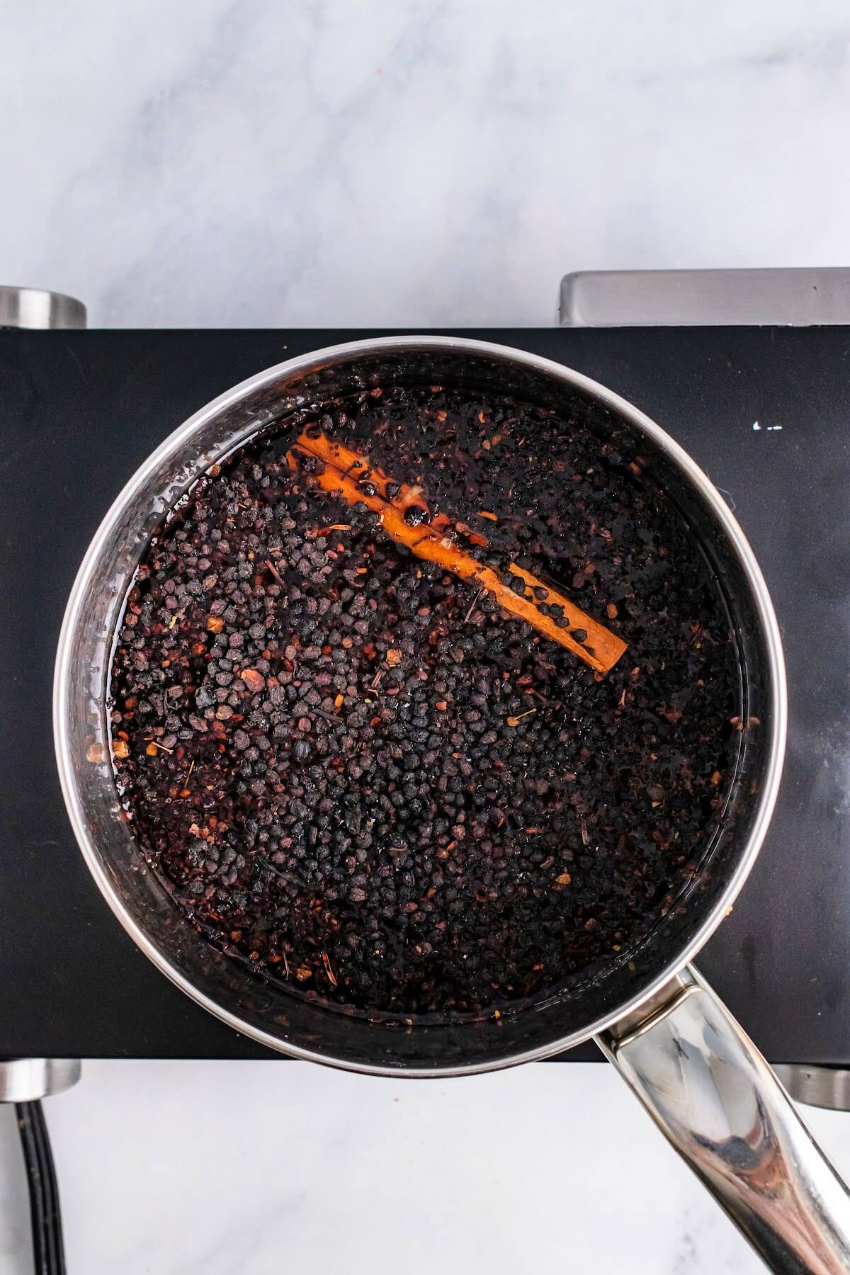 Overhead view of a saucepan filled with dried elderberries, liquid and a cinnamon stick, sitting on top of a stovetop.