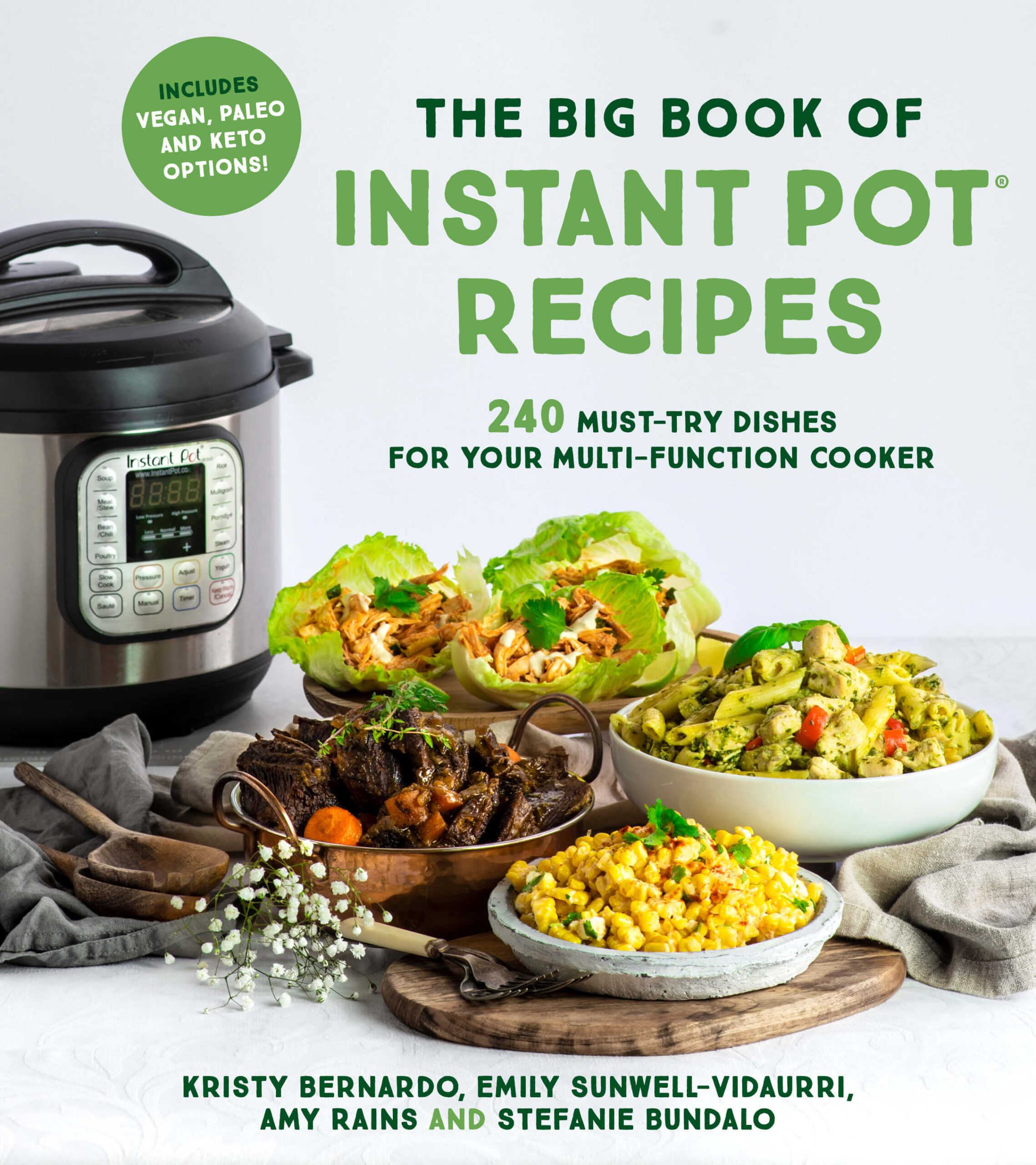 Book cover of The Big Book of Instant Pot Recipes.